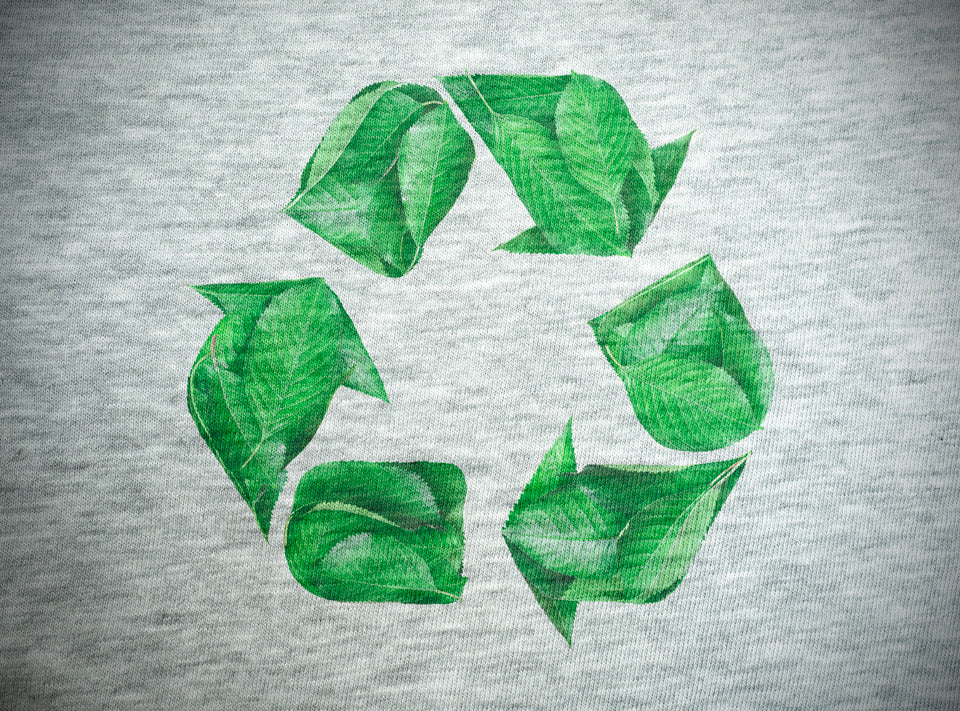 Gestos sostenibles para lograr un salón ecológico